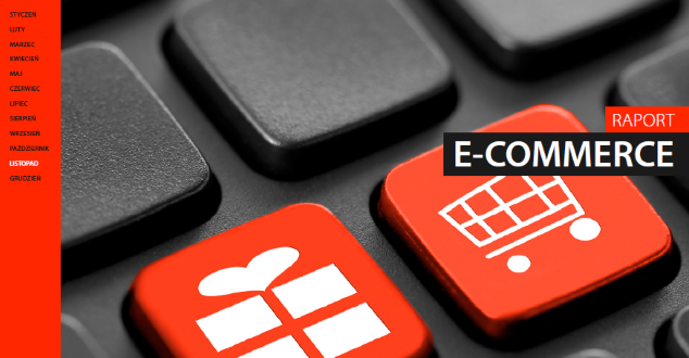 raport e-commerce 2015