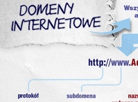 Domeny internetowe w Polsce - infografika
