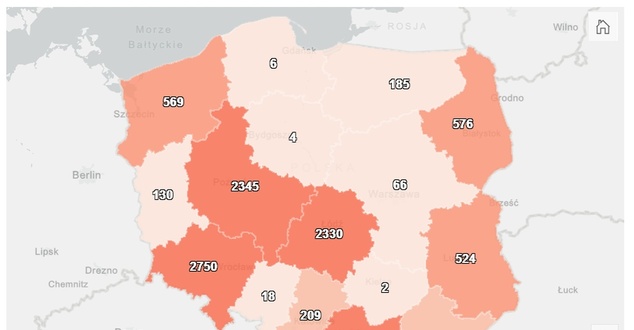 Koronawirus w Polsce. Oto mapa zakażeń udostępniona przez rząd