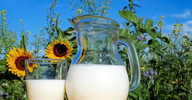 mleko, natura, fot. couleur, pixabay